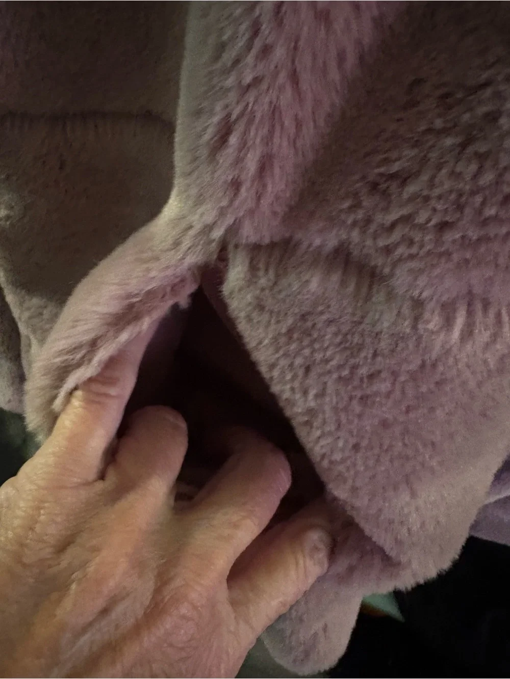 Almost Famous Plush Teddy Jacket in Mauve